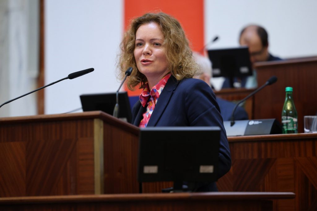 Ewa Malik-Kapler, Ministerstwo Funduszy i Polityki Regionalnej  