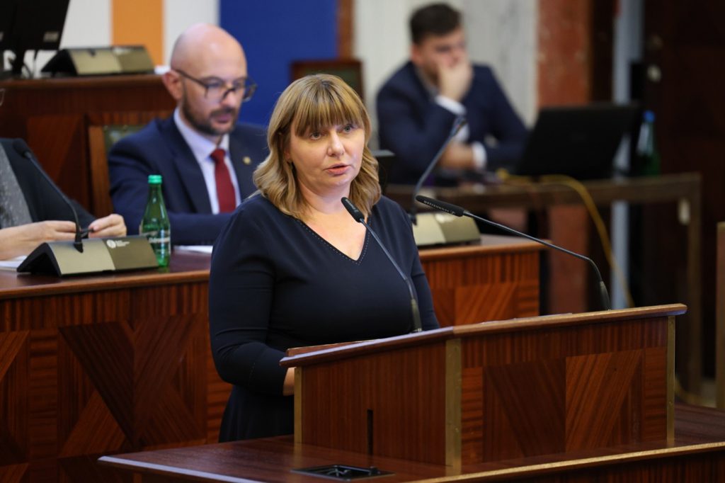 Agnieszka Sobala-Gwosdz, Obserwatorium Polityki Miejskiej i Regionalnej IRMiR  