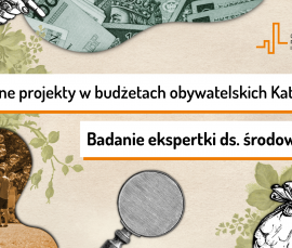 Zielone projekty w budżetach obywatelskich Katowic - Liliana Janik, ekspertka OPMR ds. środowiska